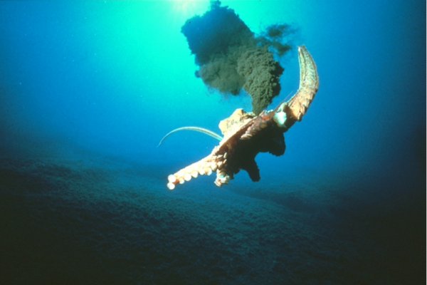 Кракен это гидра