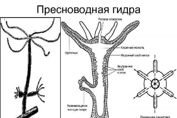 Взломали кракен аунтификатор