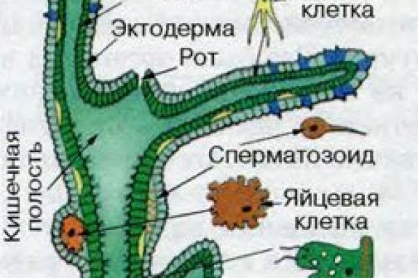 Kraken 14 at сайт