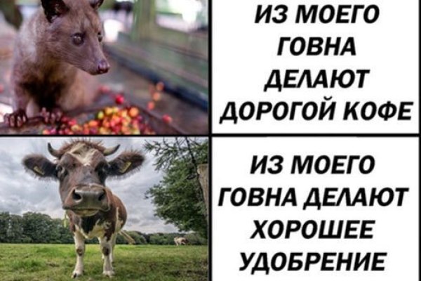 Кракен 17 вход